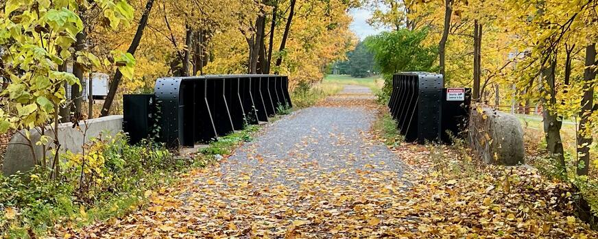 Orchard Park railroad bridge