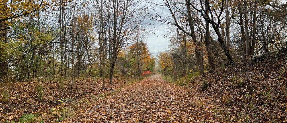 trail in fall colors