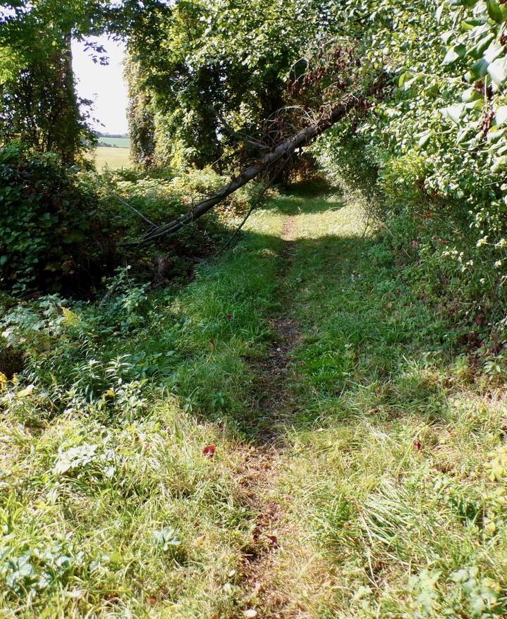 footpath