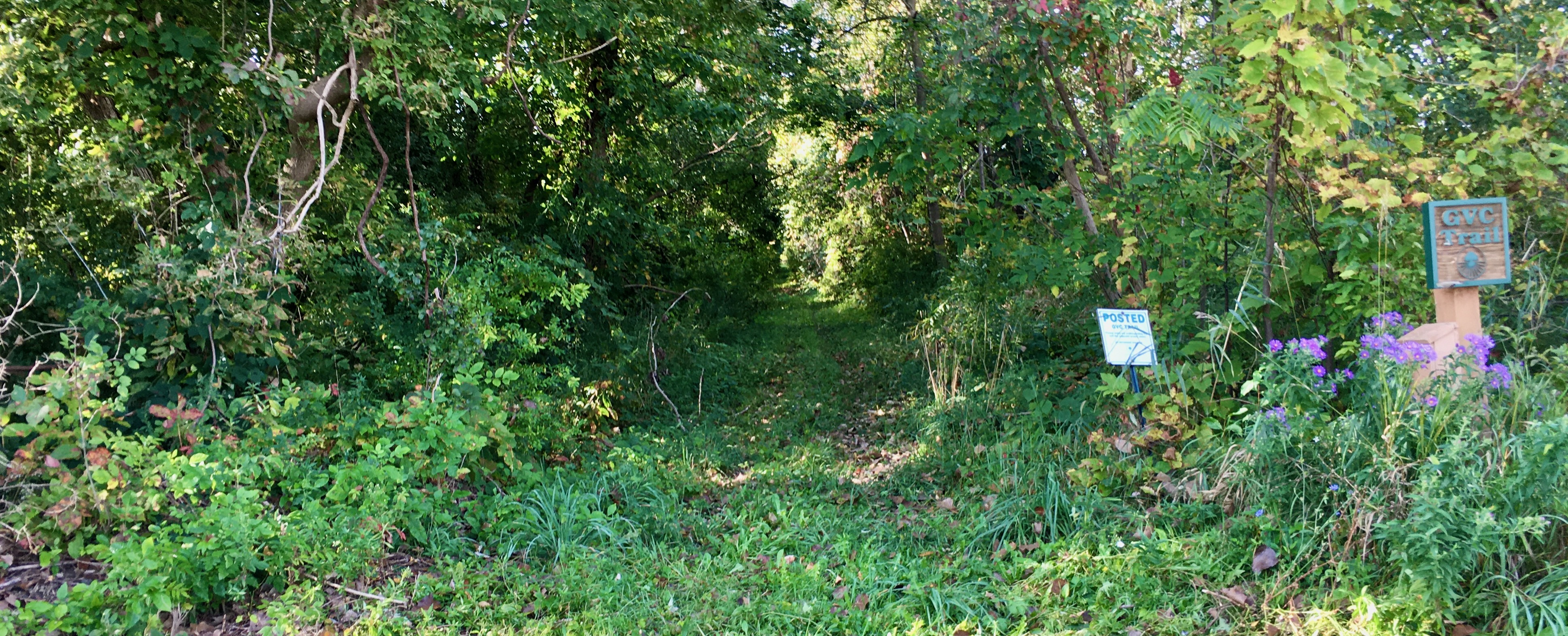 Trail entrance