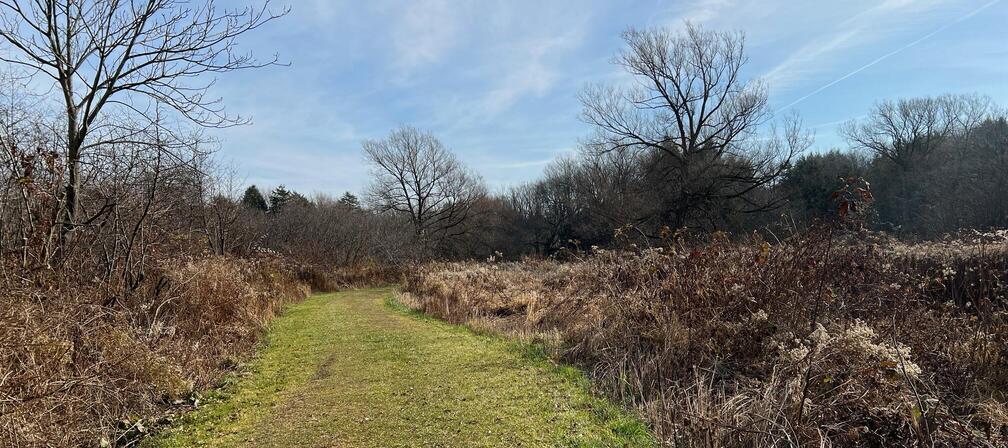 nature trail