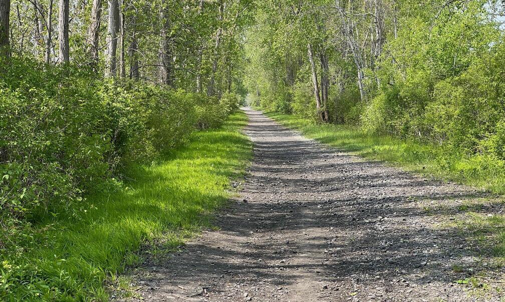 typical trail with ballast